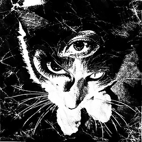 東京酒吐座 TOKYOSHOEGAZER | Information