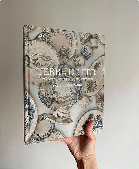 Livre TERRE DE FER | blanche-patine