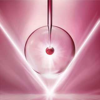 新商品 | Ella Bashe エラバシェ