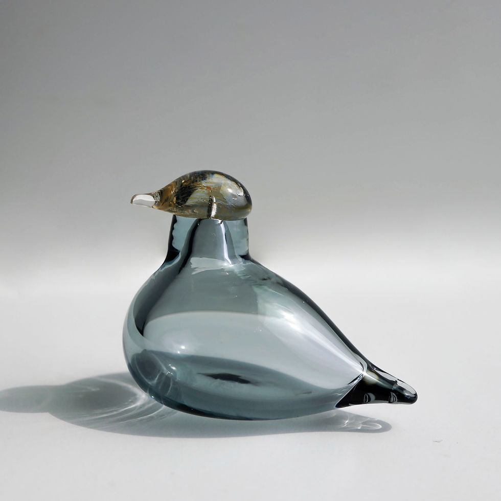 バード scope別注 Evening bird イブニングバード イッタラ バード