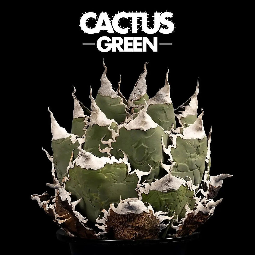 AGAVE | CACTUS GREEN［カクタスグリーン］ | 日本