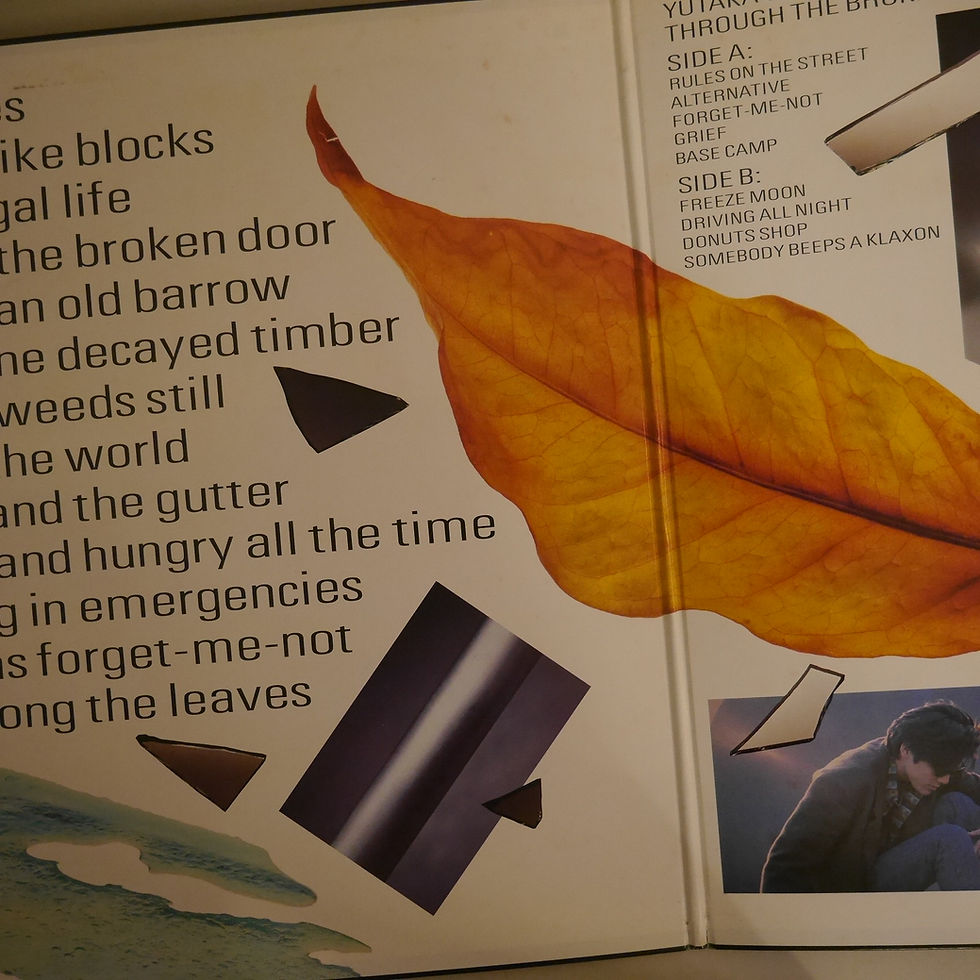 状態良好・再生確認済】LPレコード 尾崎豊／壊れた扉から 盤面傷無し