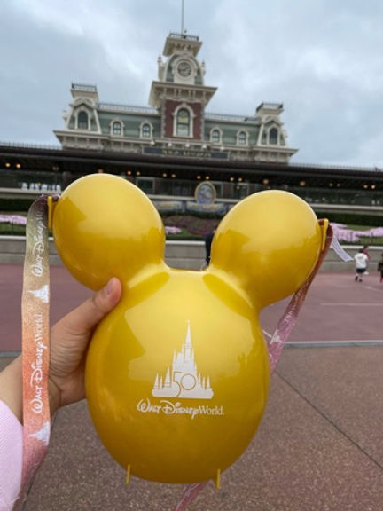 完売品】【ラスト1個】ウォルトディズニーワールド50周年記念