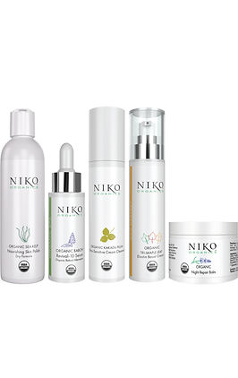 TESTIMONIALS | NIKO International