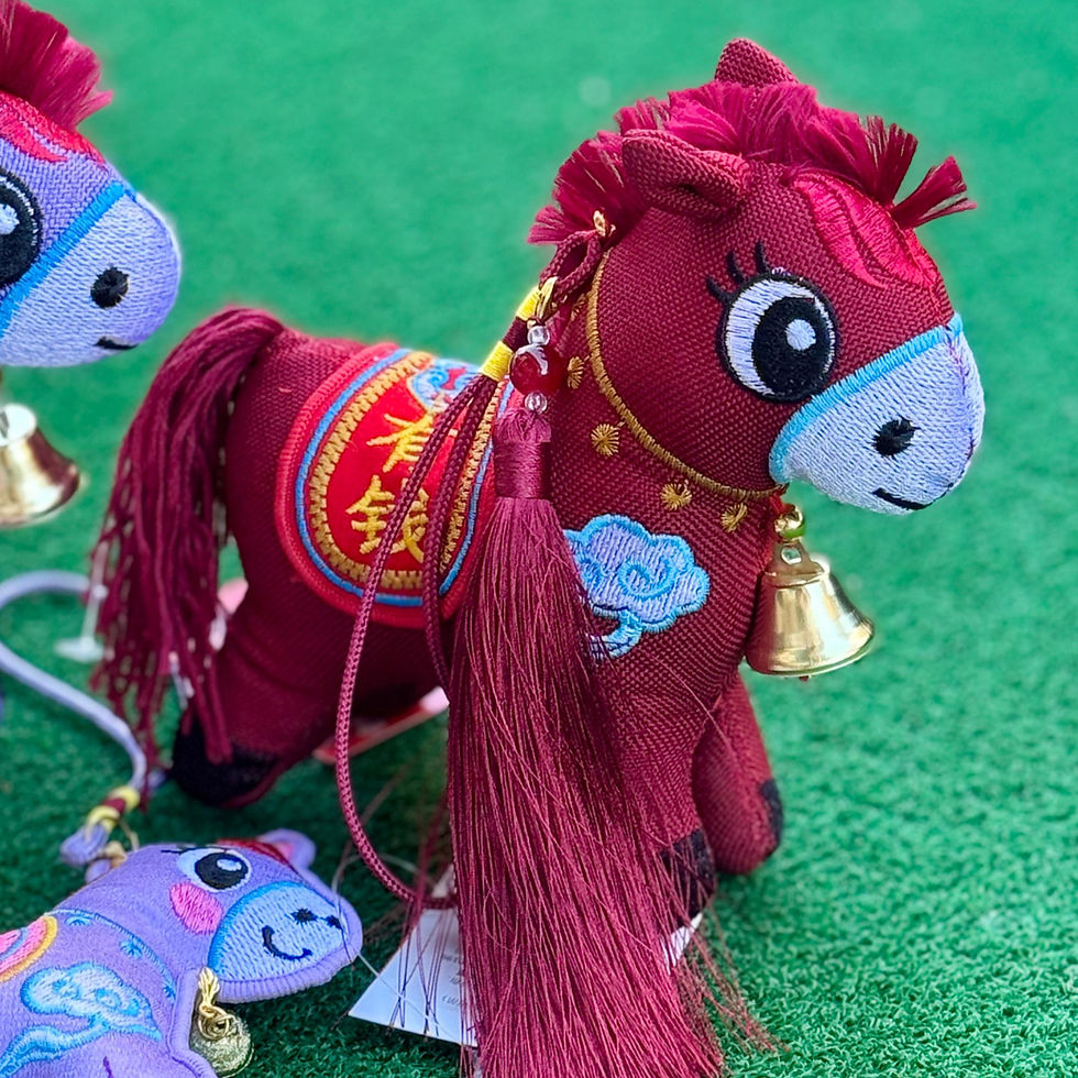 ASTRO MJ on The Trot Show | Giftorea