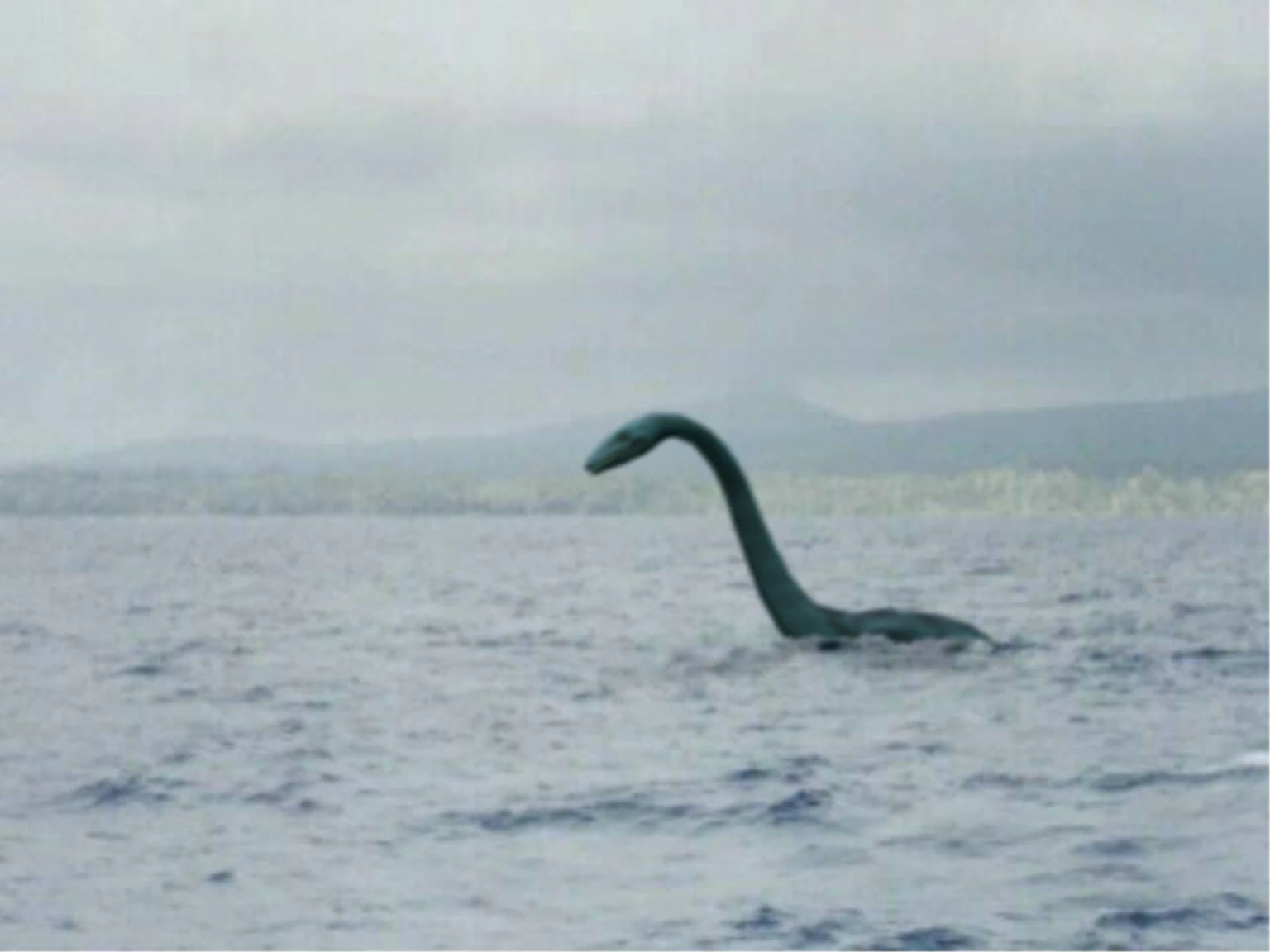 Ogopogo | Cryptid Wiki | Fandom