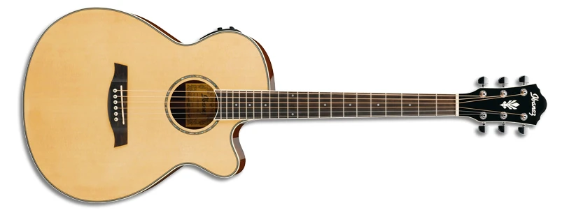 AEG10Ⅱ | Ibanez Wiki | Fandom