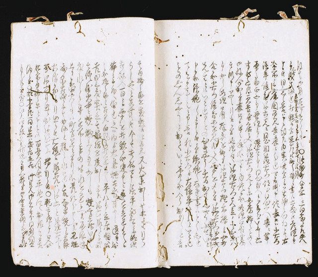 深掘り 鷹見泉石＞（5）大塩平八郎の最期：東京新聞デジタル