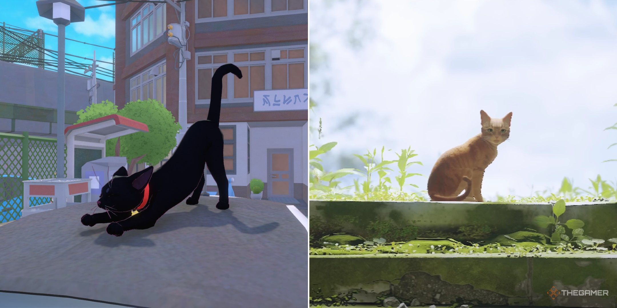 Little Kitty, Big City Vs. Stray - Which Game Is Better?