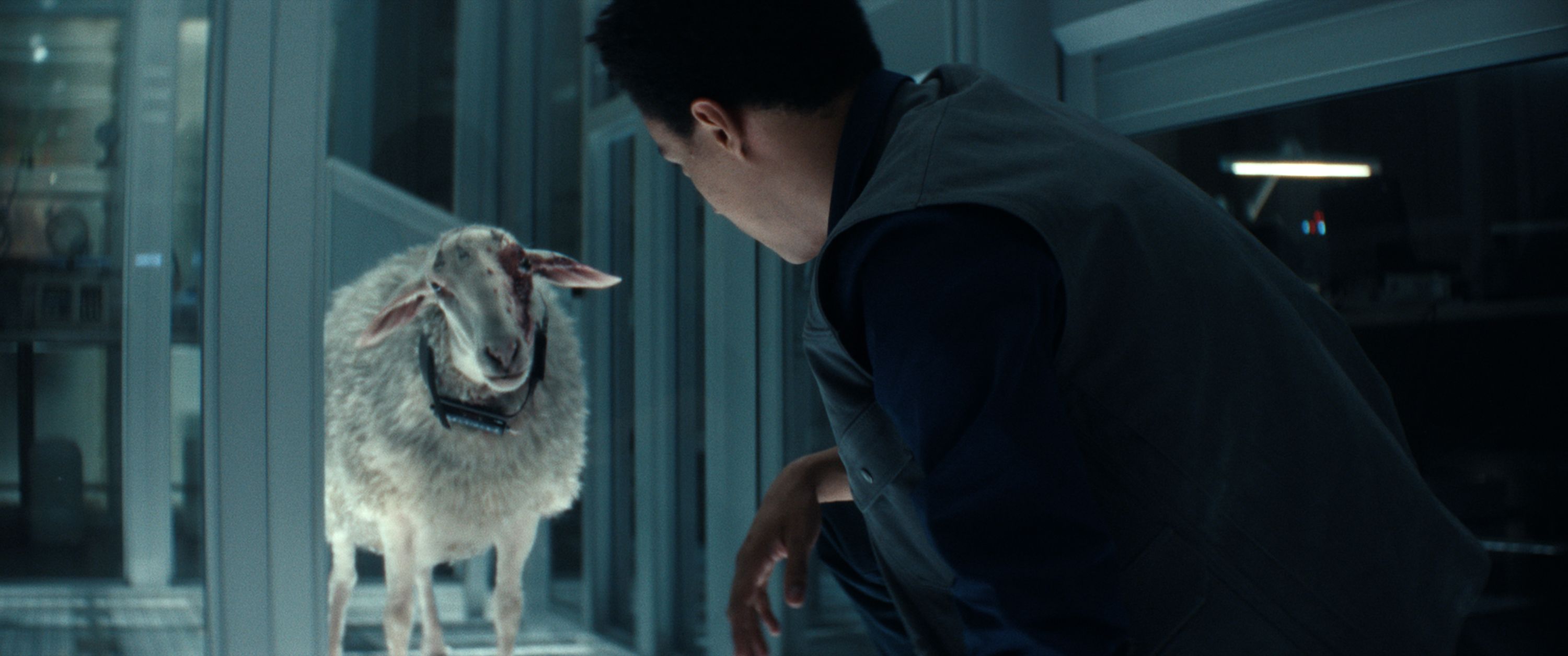 Meet Victoria the sheep, Alien: Earth's creepiest creature