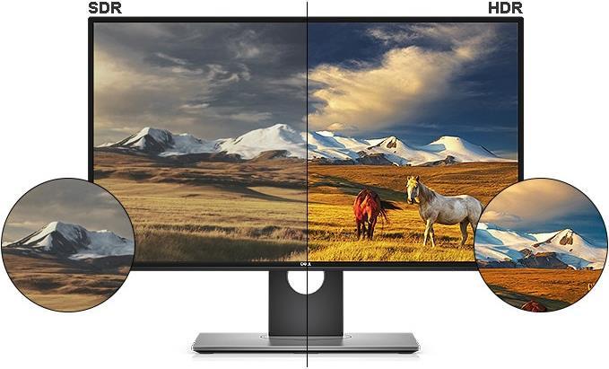 Dell U2518d - buy at Digitec