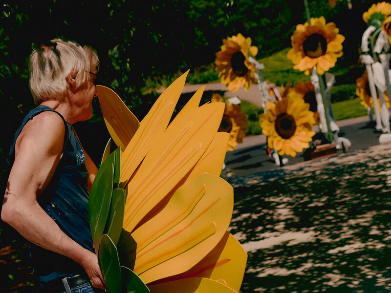 With 'Van Gogh's Flowers,' the New York Botanical Garden Brings