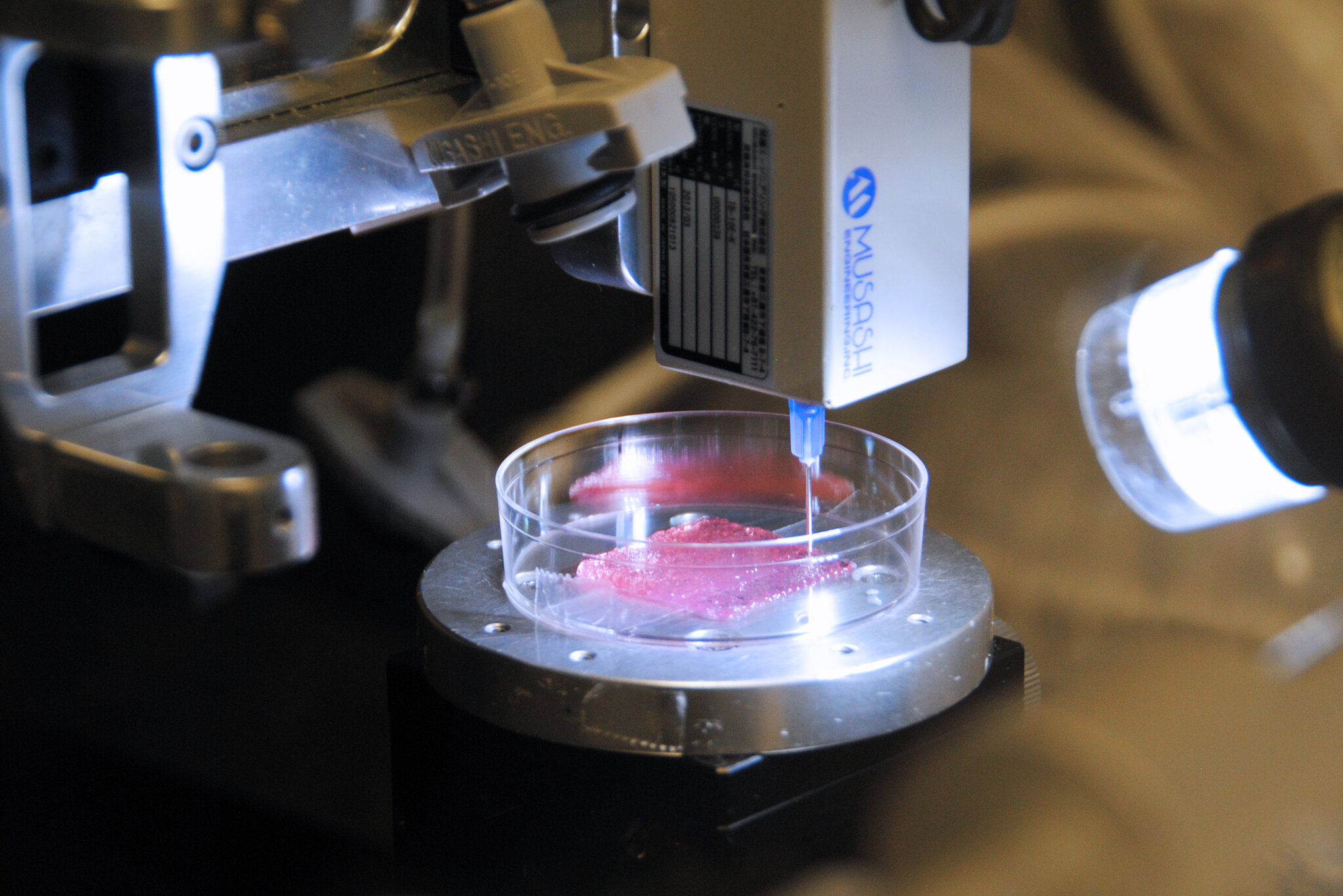 A Possible Weapon Against the Pandemic: Printing Human Tissue
