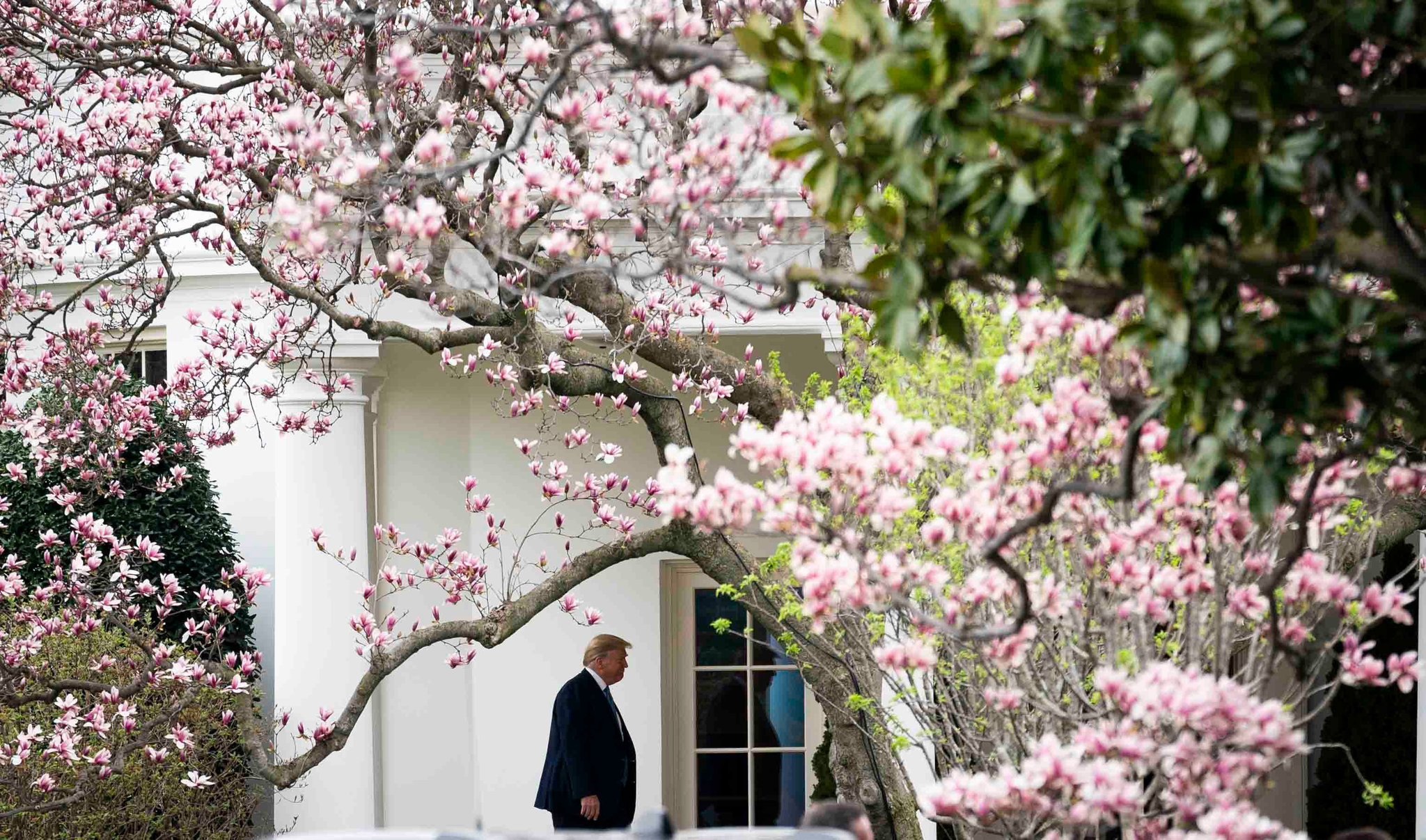 merlin_170305677_f73fd184-d8f9