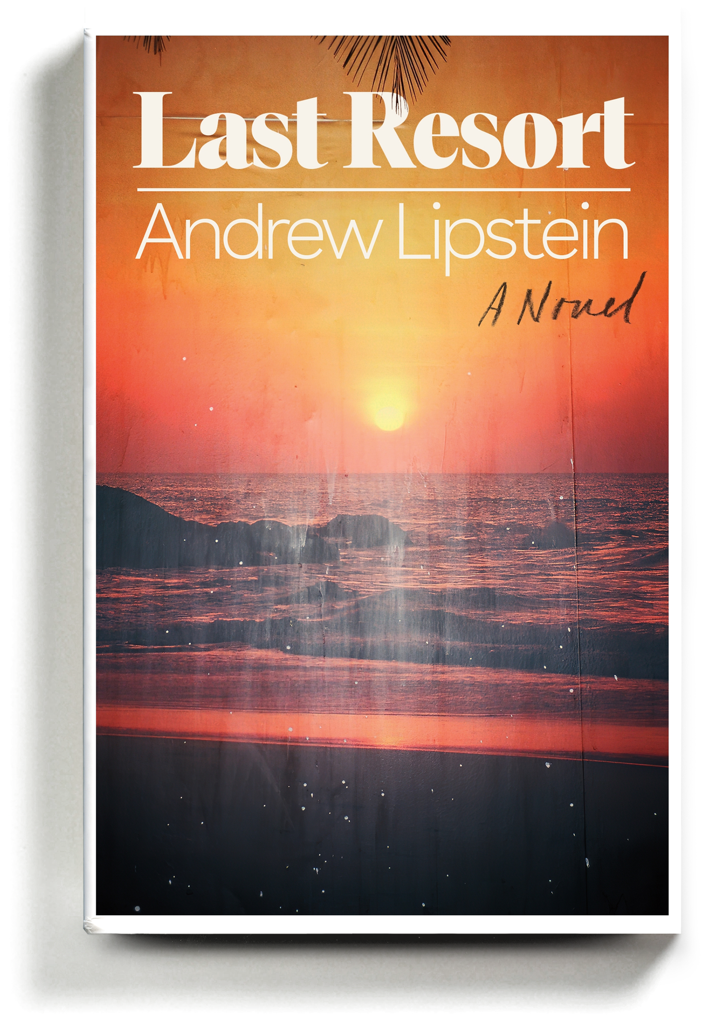 In 'Last Resort,' a Writer Turns a Friend's Story Into a Smash