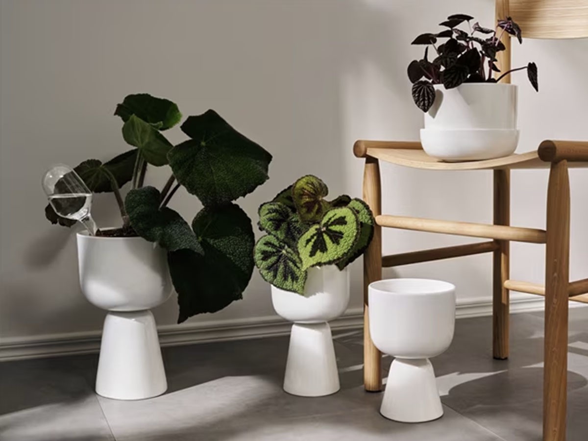 iittala Nappula Plant Pot / イッタラ ナップラ プラントポット 260