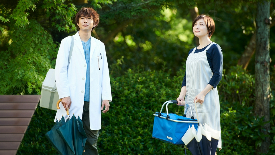 僕とシッポと神楽坂 2018年放送 第2話《相葉雅紀 出演「今日から