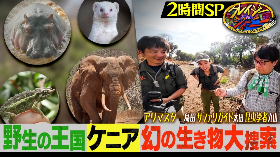 クレイジージャーニー 8月4日(月)放送分 世界的快挙☆世界最大の女王