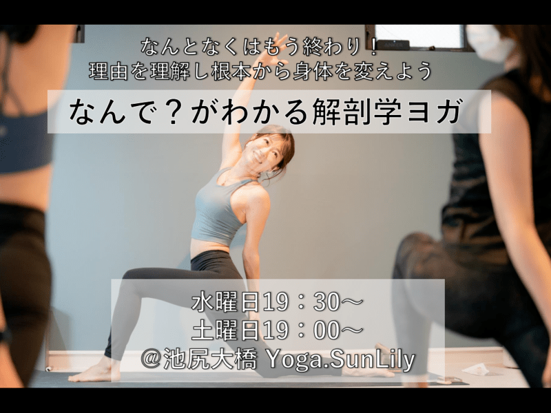 対面】なんで？が分かる解剖学ヨガ☀️＠池尻大橋 / Sakai Haruka