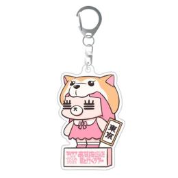 コレサワ LIVE TOUR 2025 あたしを選んだ君と行くツアー | コレサワ