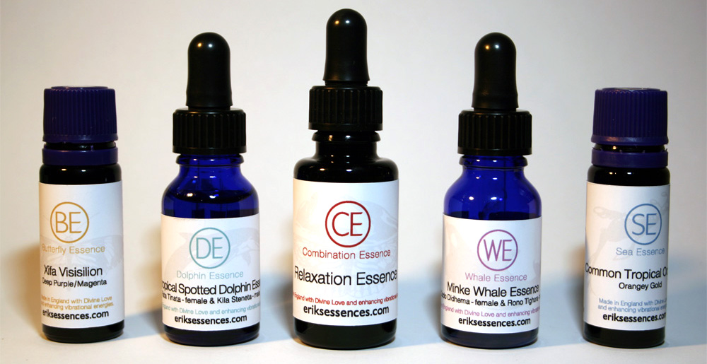 Eriksessences／エリックスエッセンス - Star Poets Gallery - スター