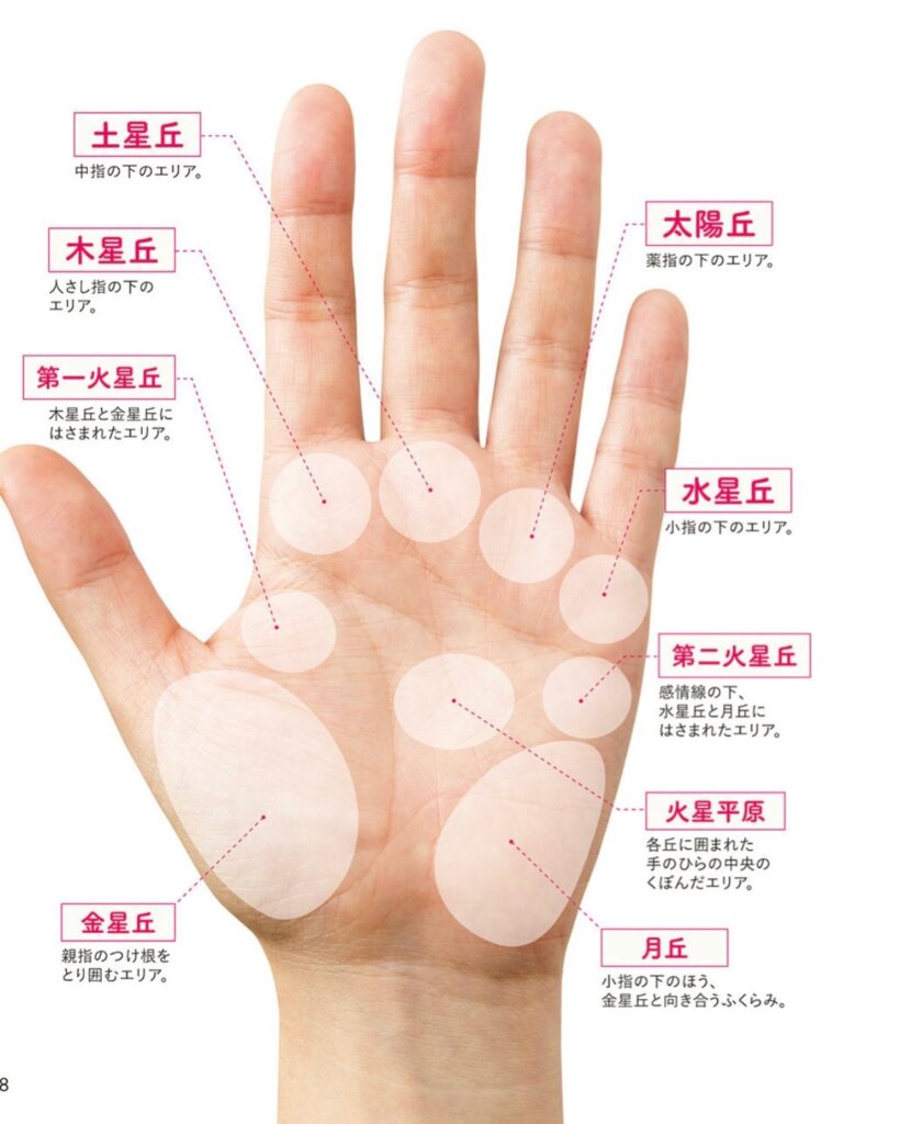 手相」とは手のどんなところを、どんなふうに見ているのか。わかり