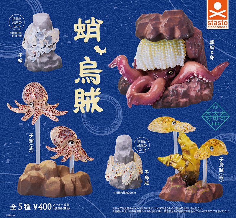standstones 蛸、烏賊