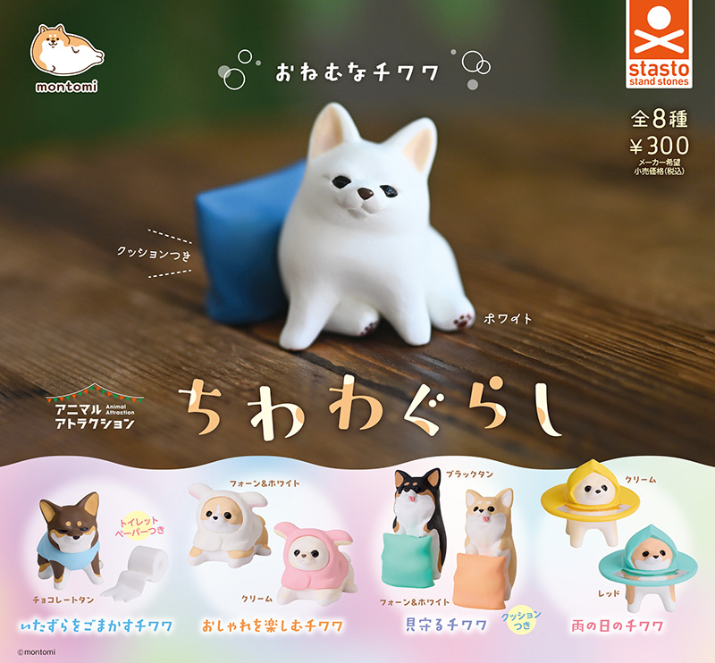 standstones ちわわぐらし