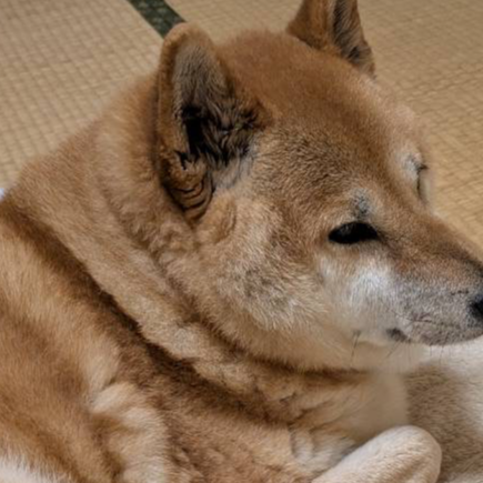 大谷誠×鵜飼主水 コラボトークイベント 『MøM∩』のチケット情報