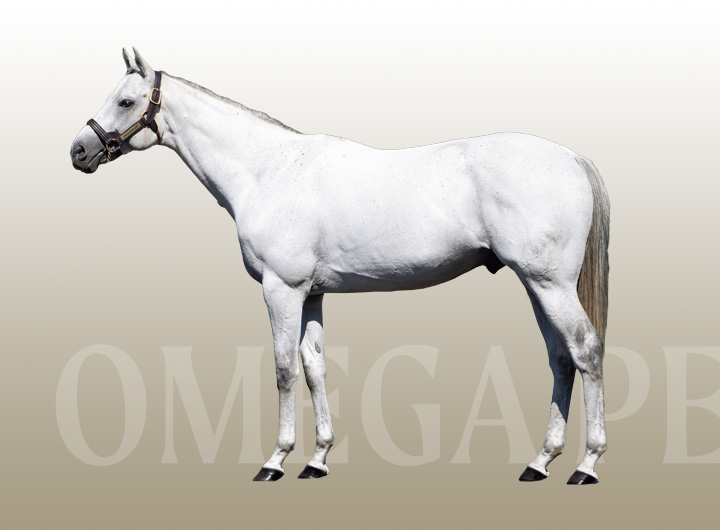 LEX STUD（レックススタッド）| 種牡馬繋養牧場