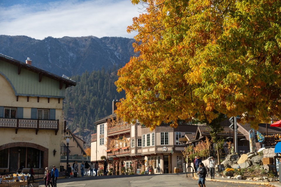 MAZAMA❗️（Legend of the Pacific Northwest) Mazama 2025