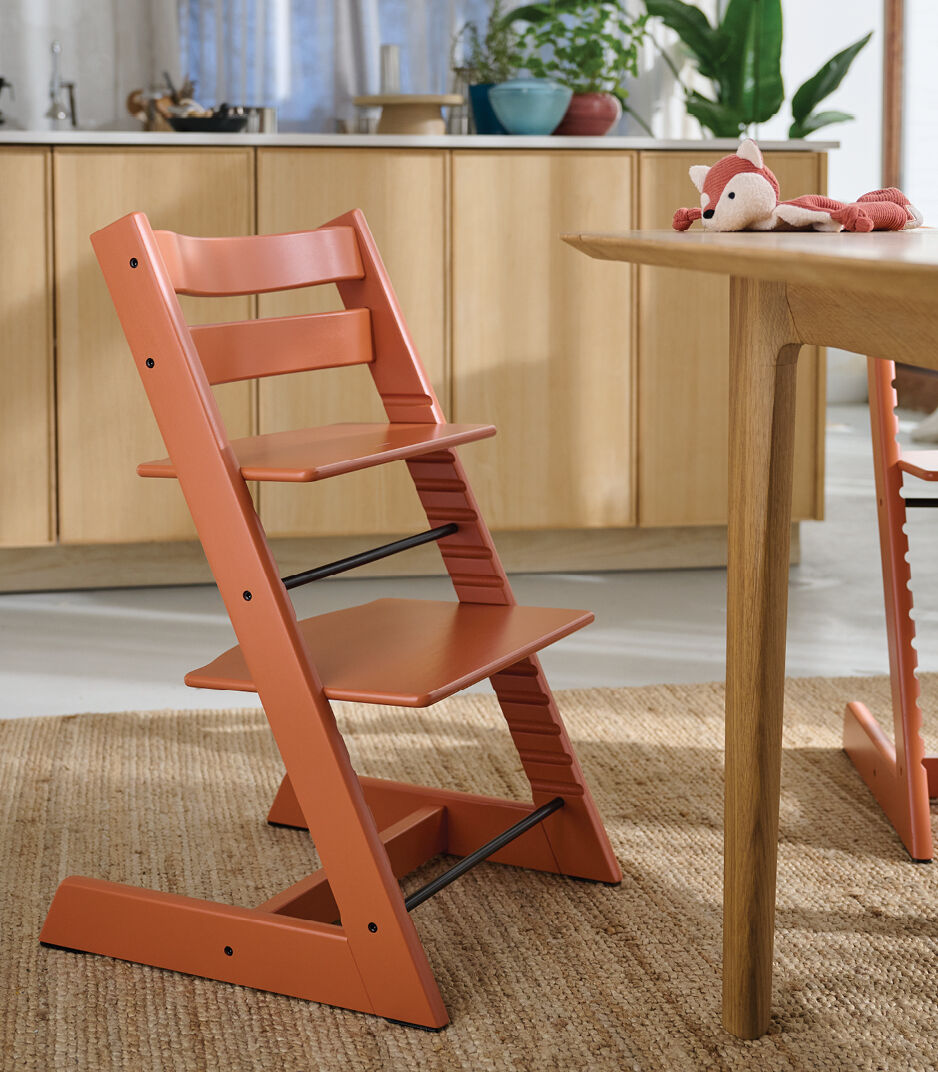 Stokke Tripp Trapp Chair | Child Seat