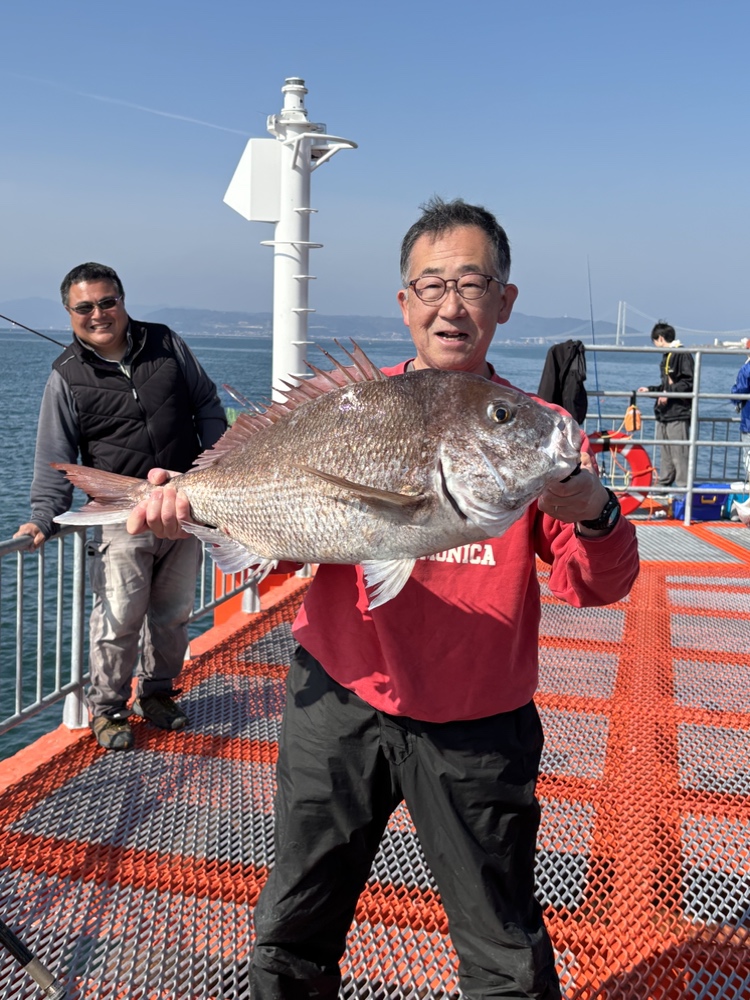 マダイ79cm！クロダイも好調！！ | 須磨海づり公園