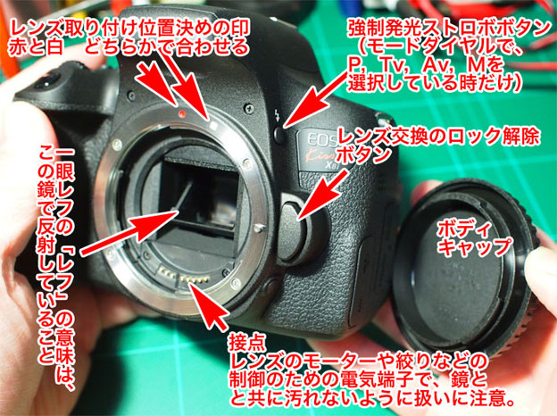 キヤノン EOS Kiss X8i を買って 5年間使ってきた感想と長期レビュー