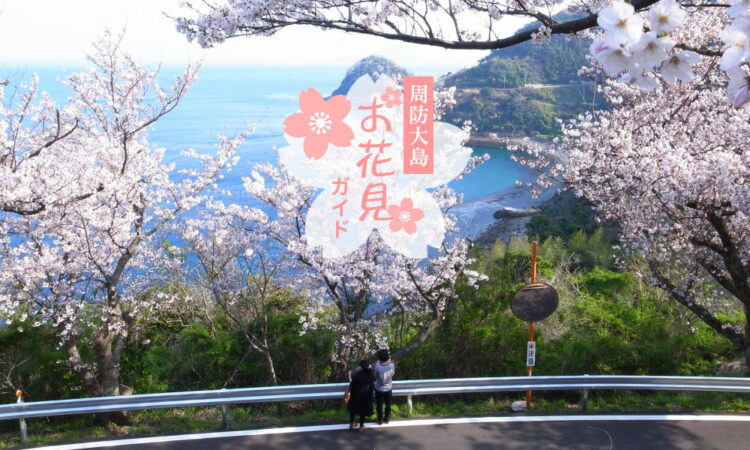 周防大島お花見ガイド | せとうちやまぐち周防大島［周防大島観光協会］