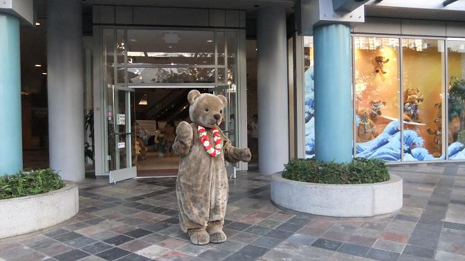 Teddy Bear World Hawaii | ハワイ通