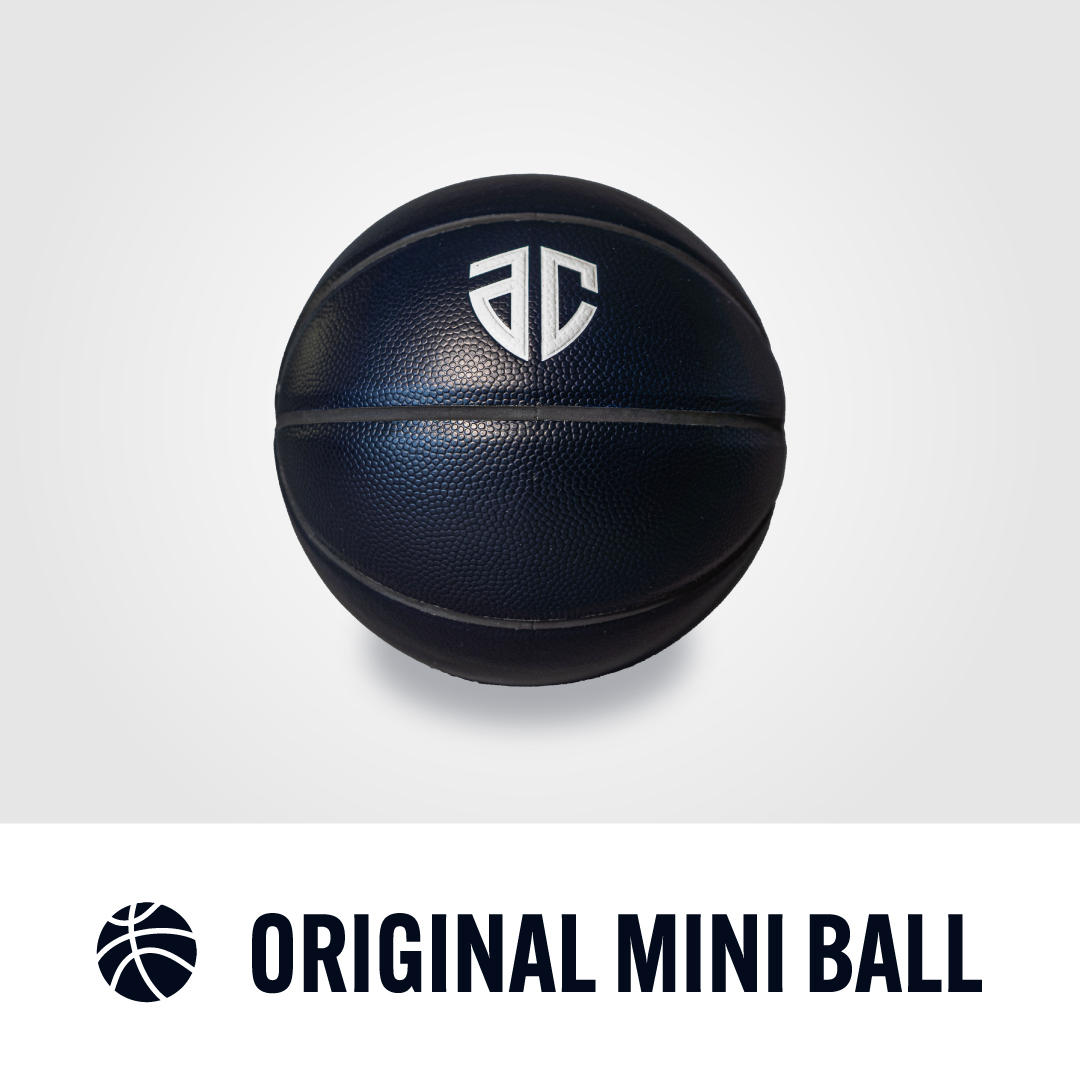 33,000円コース】非売品 アルティーリ千葉 ミニボール 1球