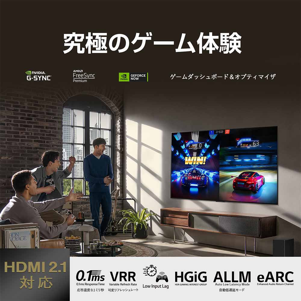 LG LG 55V型 4K有機ELテレビ(OLED55C3PJA) / エルジー | 家具・家電の