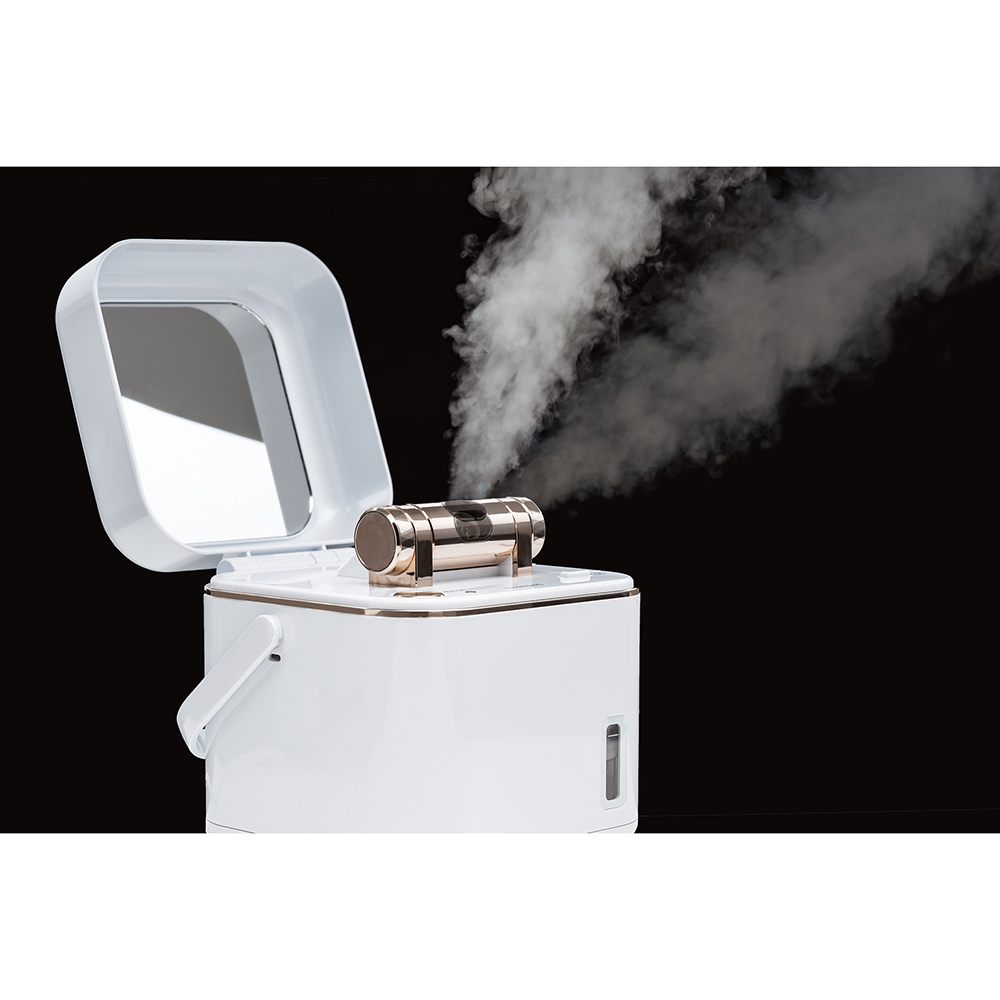 TWINBIRD TWINBIRD フェイススチーマー SH-2787PW / ツインバード