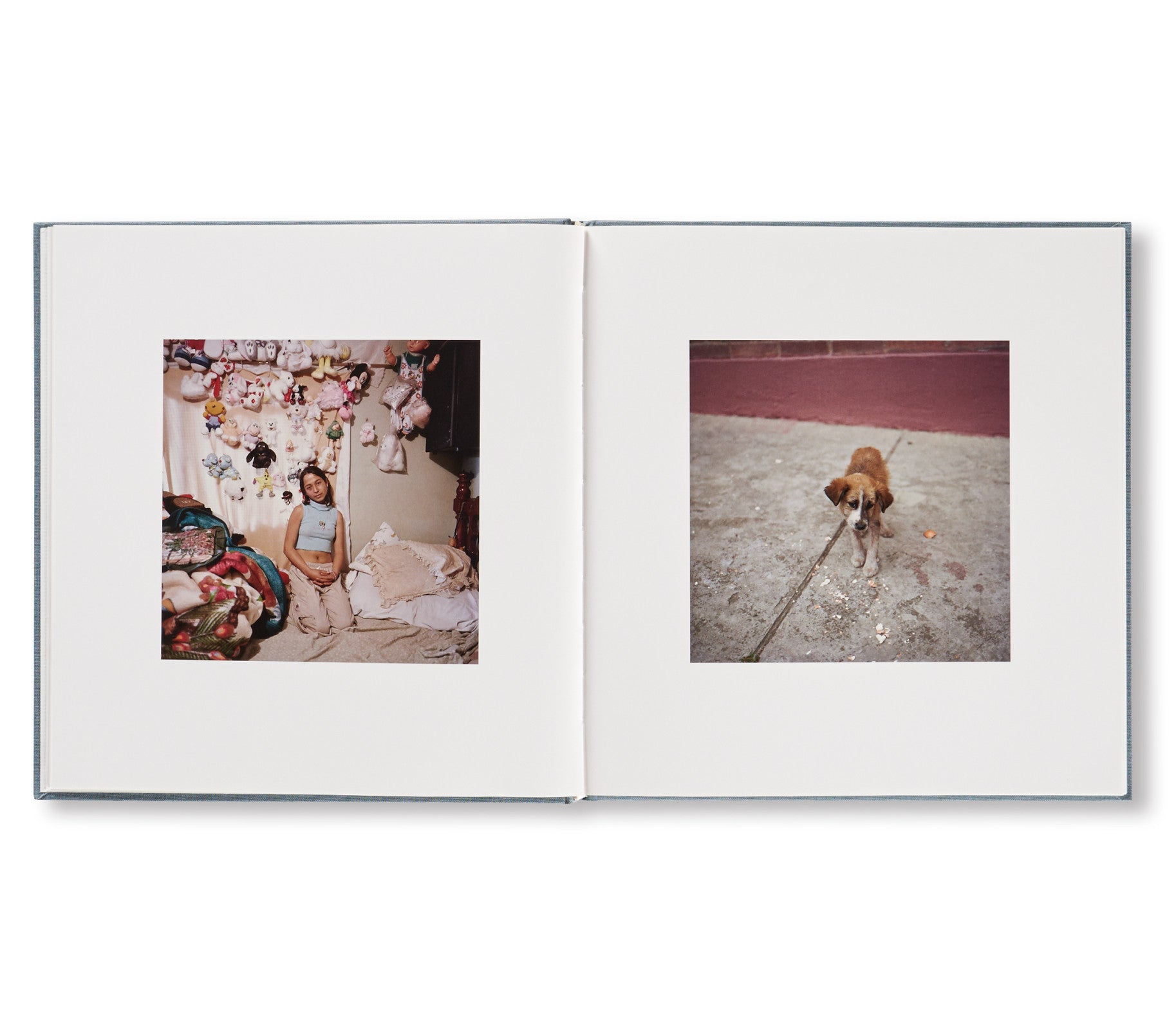 Alec Soth - by Bailey Richardson - Art Dogs