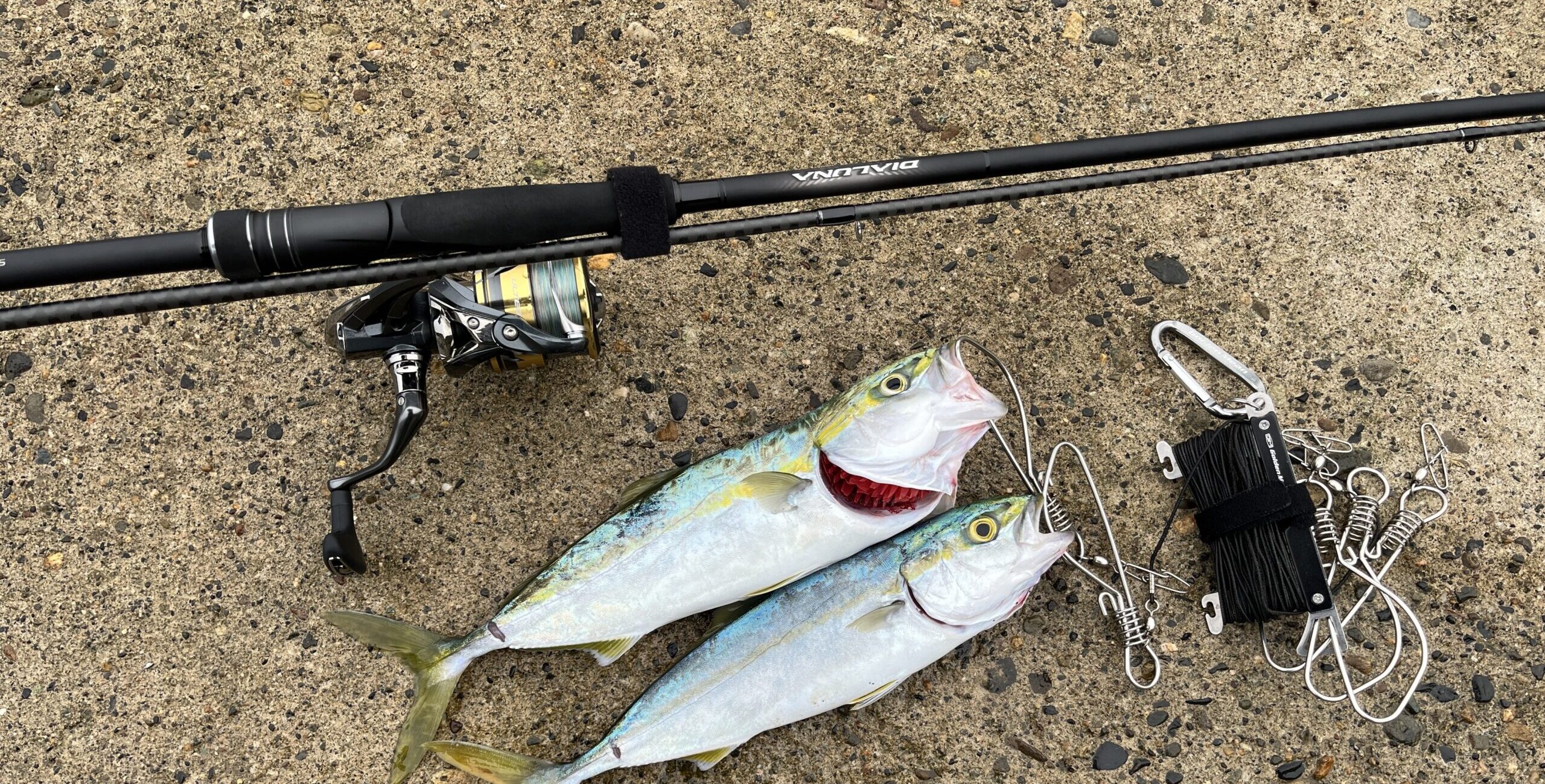 感動】23ディアルーナ「S96M」の万能っぷりが凄い！青物やヒラメ狙いに