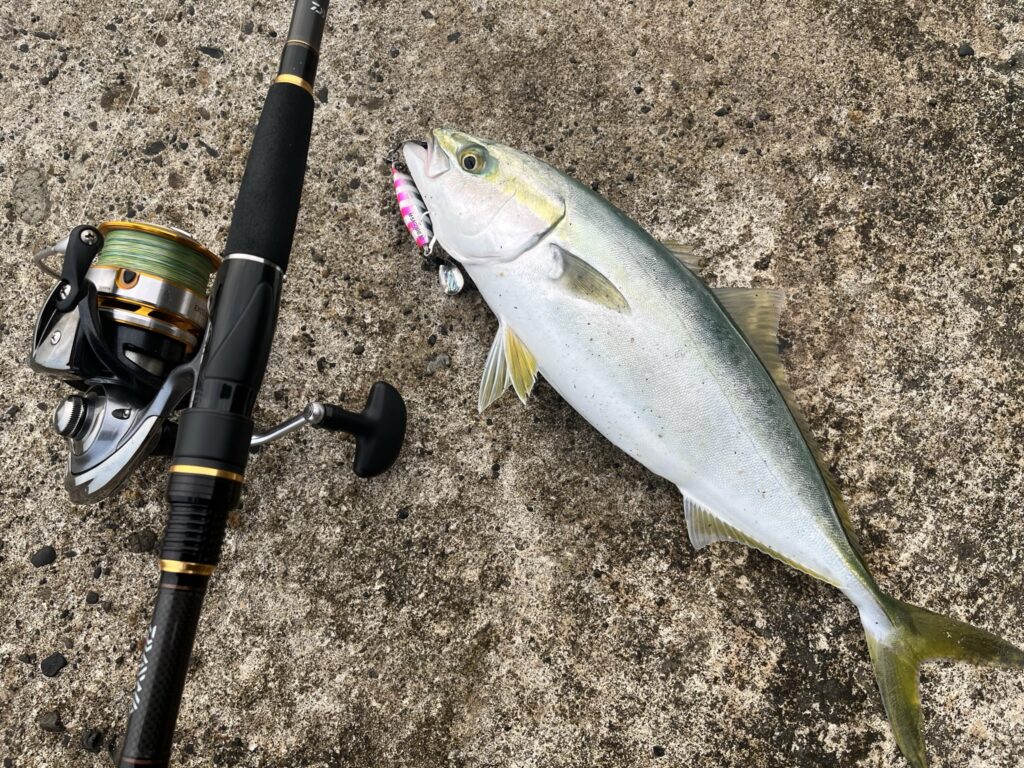 ダイワ】ラテオ96Mは1本3役（ショアジギング・シーバス・サーフ）の