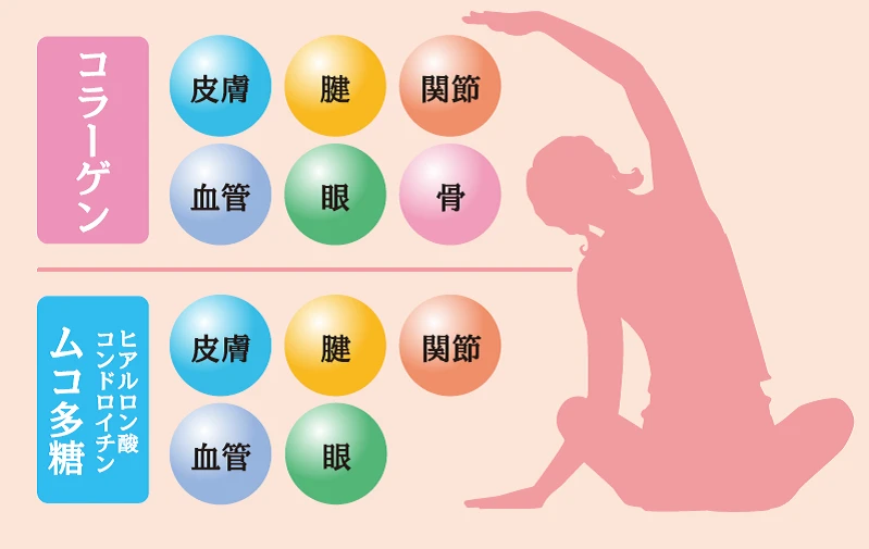 コラーゲンマトリックス®・スマイル – 株式会社すこやか