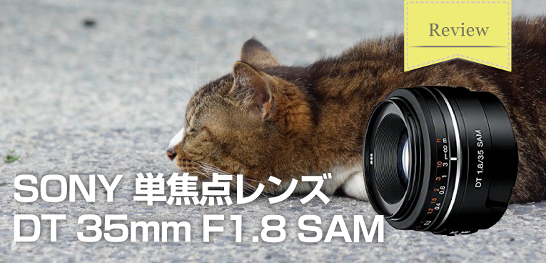 SONYの撒き餌レンズ Aマウント 単焦点レンズ DT 35mm F1.8 SAM 作例