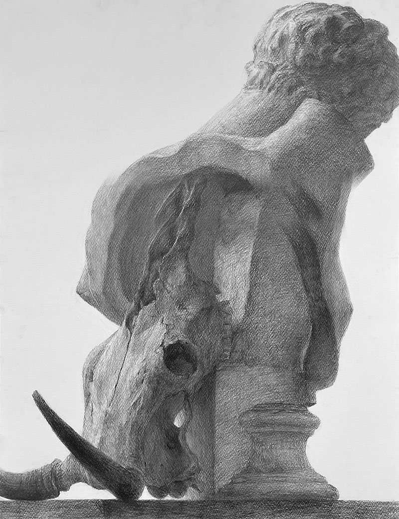 基礎科 デザインコース・工芸コース 「ヘルメスと牛骨」デッサン優秀