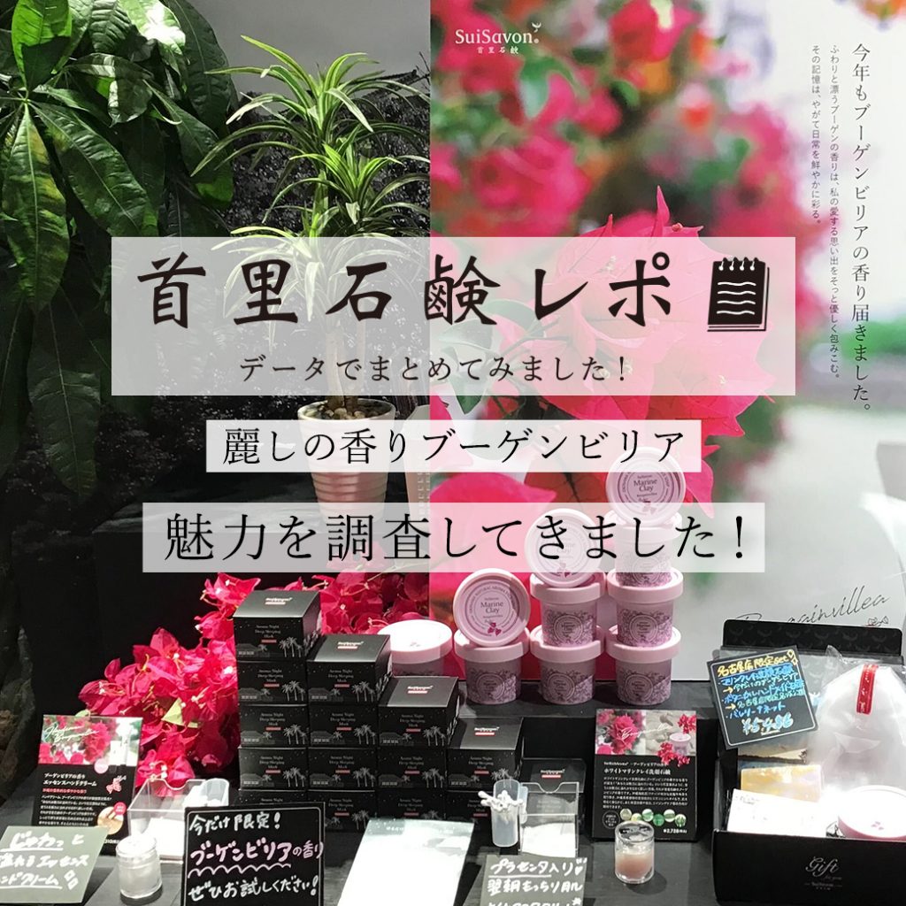首里石鹸レポVol.30 麗しの香りブーゲンビリア魅力を調査してきました