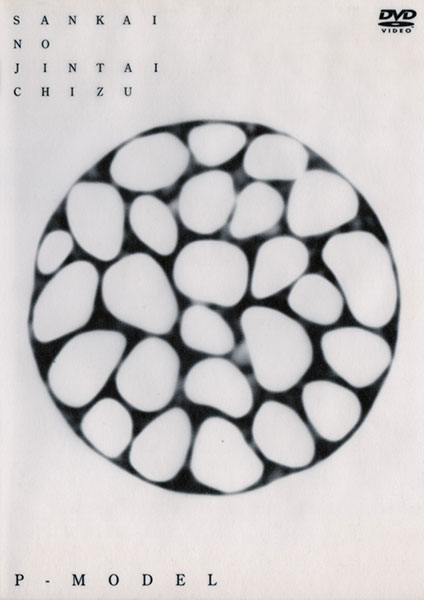 P-MODEL VIDEO三界の人体地図