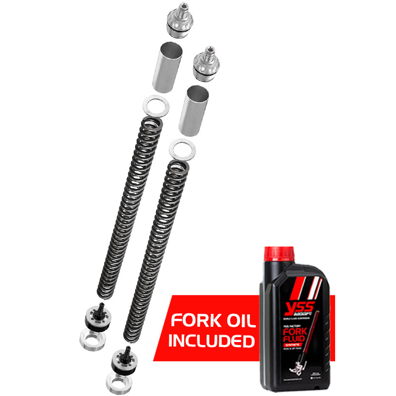 Fork upgrade kit