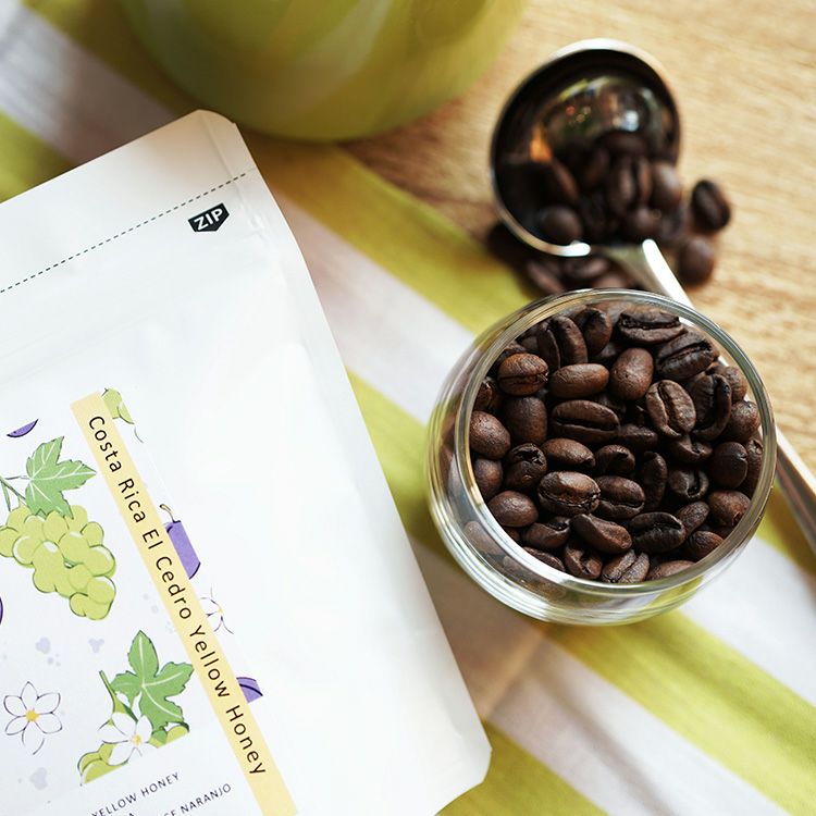 スペシャルティコーヒー豆・粉コスタリカ エル・セドロ農園（100g