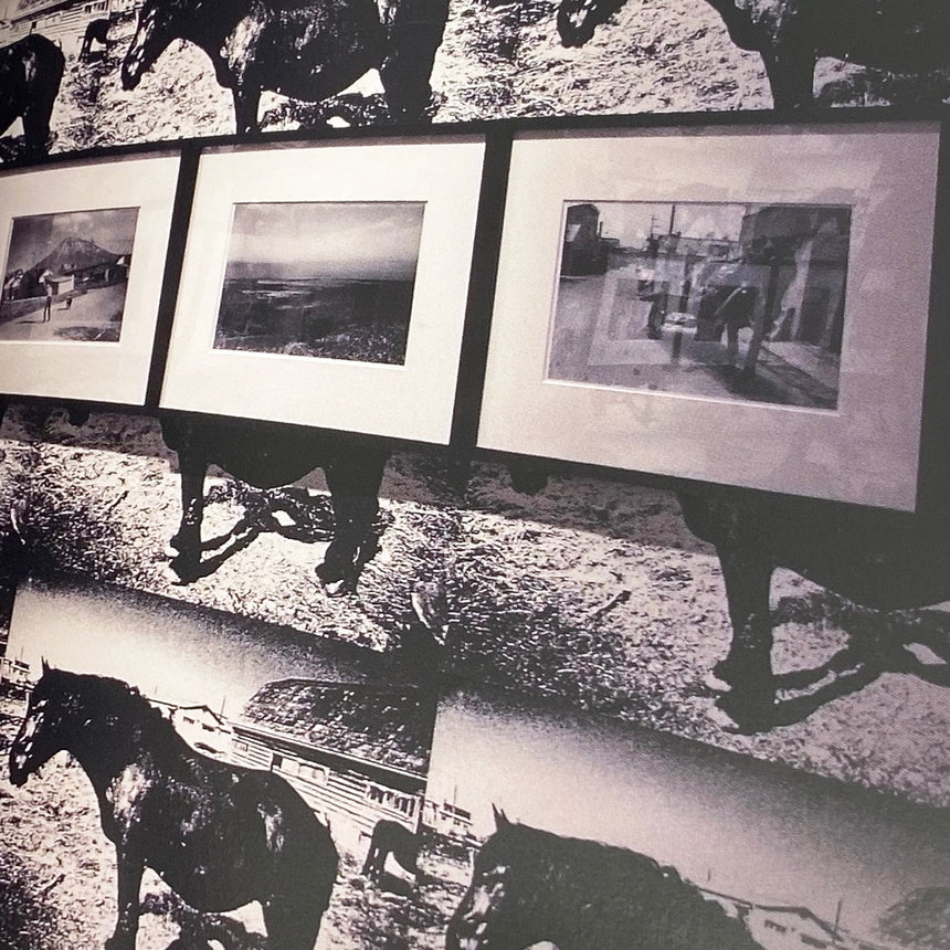 Color Photograph Daido Moriyama (森山大道) – SUPER LABO